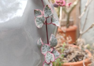 String of Hearts