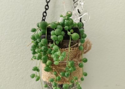 Strings of Pearl