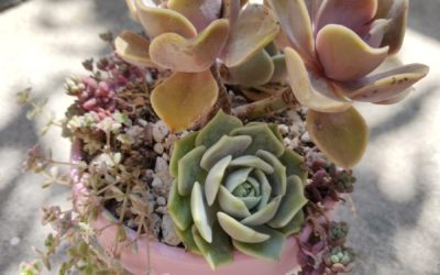 Arrangements