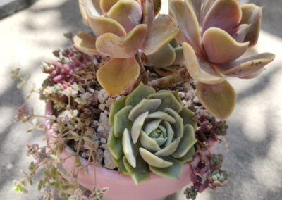Arrangements